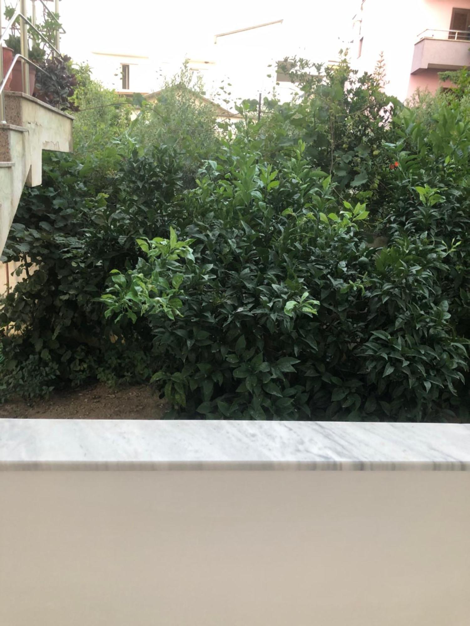 Rooms For Rent Дуррес Екстер'єр фото